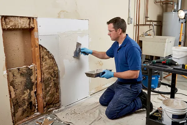 Mold and Drywall Repair Lake Elsinore