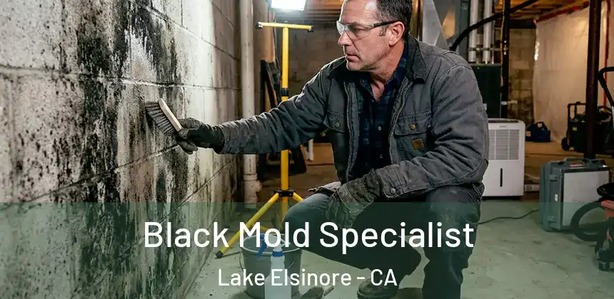  Black Mold Specialist Lake Elsinore - CA