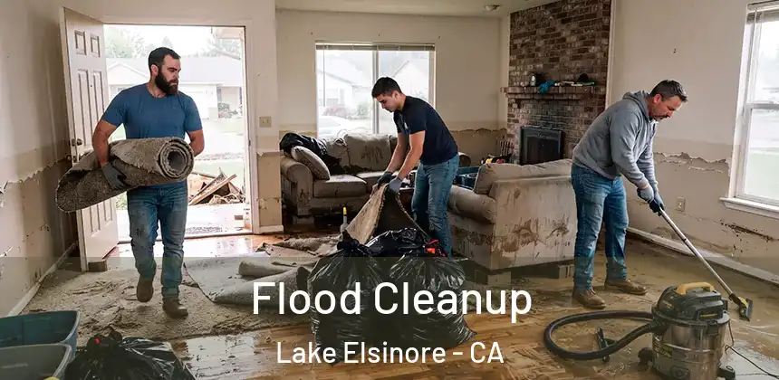  Flood Cleanup Lake Elsinore - CA