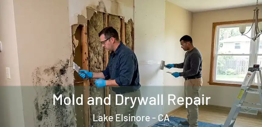  Mold and Drywall Repair Lake Elsinore - CA