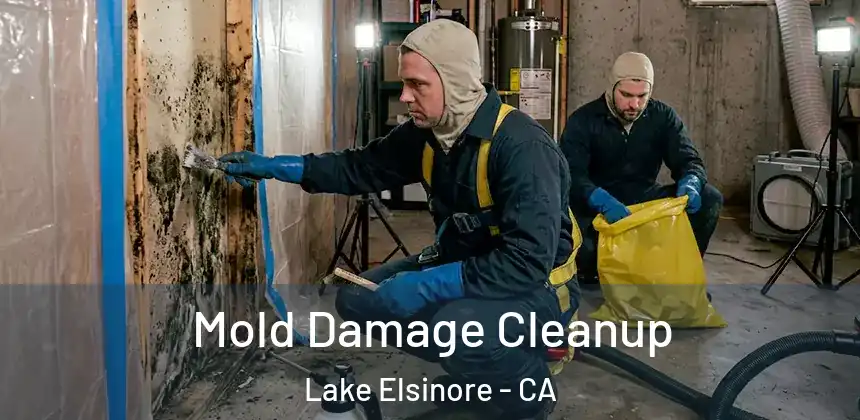  Mold Damage Cleanup Lake Elsinore - CA