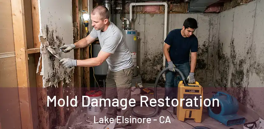  Mold Damage Restoration Lake Elsinore - CA