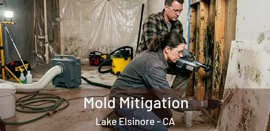  Mold Mitigation Lake Elsinore - CA