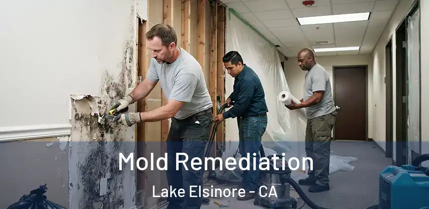  Mold Remediation Lake Elsinore - CA