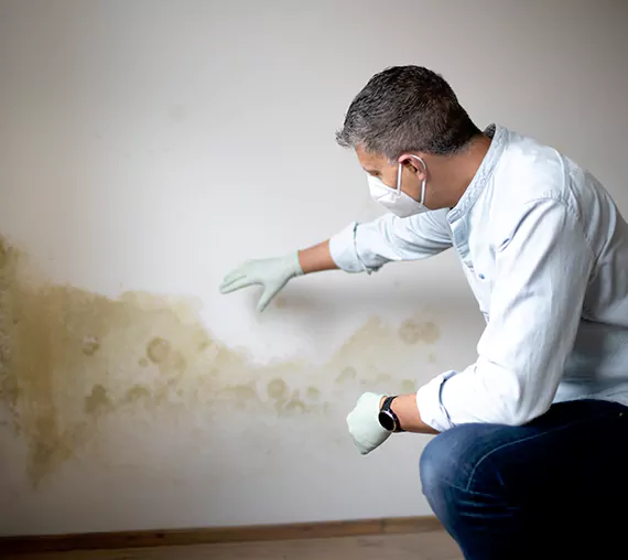 Mold Removal Service in Lake Elsinore, CA