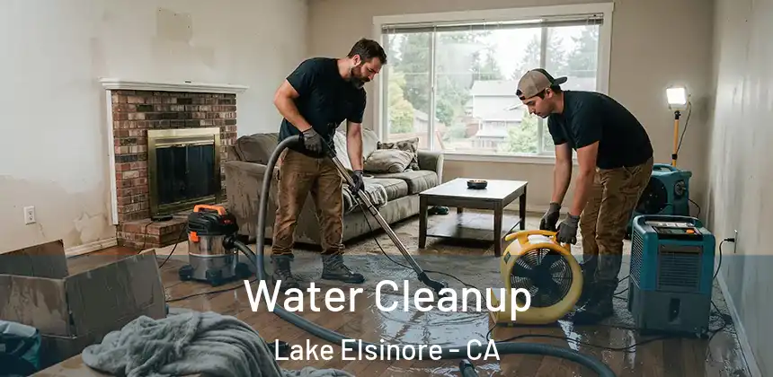  Water Cleanup Lake Elsinore - CA