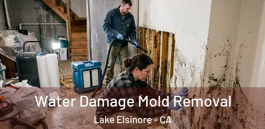  Water Damage Mold Removal Lake Elsinore - CA